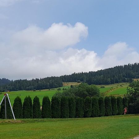 Pokoje Goscinne Budzowie Czarna Góra Εξωτερικό φωτογραφία